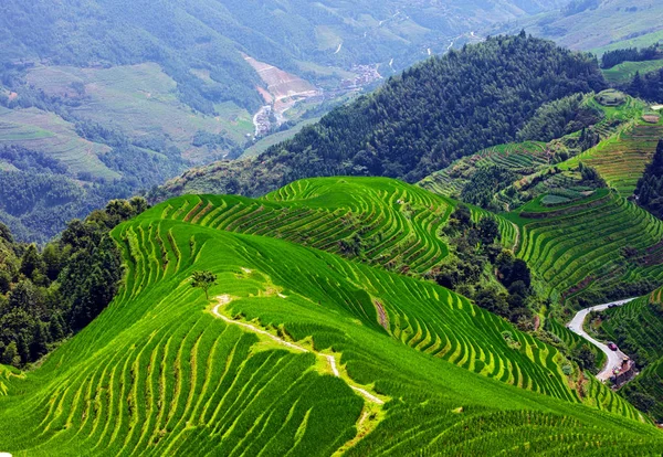 Longji Rýžové Terasy Hoře Yaoshan Guangxi Čína — Stock fotografie