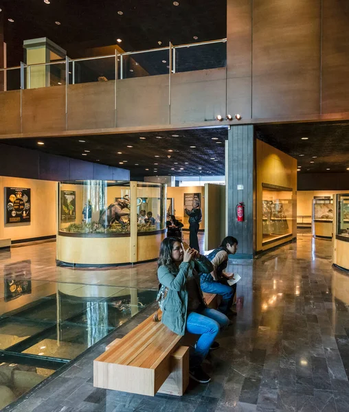 Mexico City Aralık 2015 Mexico City Deki Ulusal Antropoloji Müzesi — Stok fotoğraf