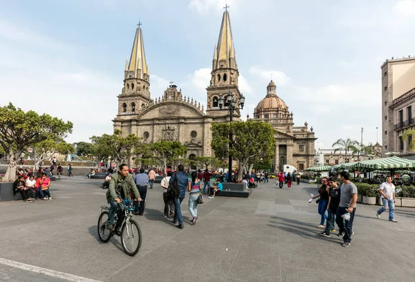 Guadalajara Mexico Ιανουαρίου 2016 Πηγή Μπροστά Από Τον Κεντρικό Καθεδρικό — Φωτογραφία Αρχείου