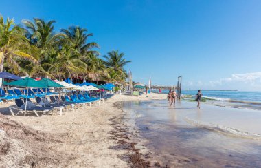 Palmiyeleri ve şemsiyeleri olan güzel tropikal plajlar.