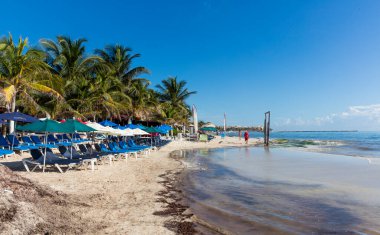 Karayip Denizi 'ndeki plaj