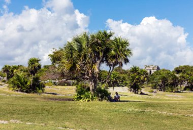 Mauritius şehrindeki parkın manzarası