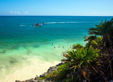 Palmiye ağaçları ve mavi gökyüzü olan tropik plaj