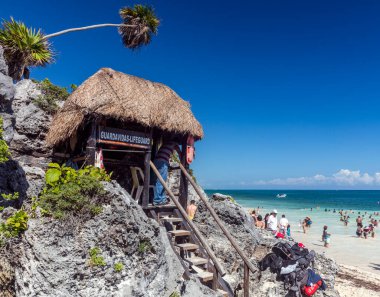 Palmiye ağaçları ve mavi gökyüzü olan güzel tropikal plaj
