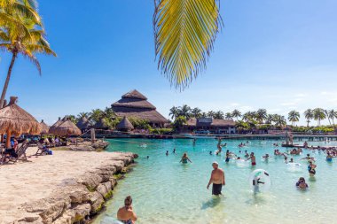 Palmiye ağaçları ve mavi gökyüzü olan güzel tropikal plaj