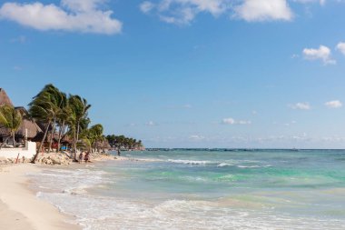 Palmiye ağaçları ve mavi gökyüzü olan tropik plaj