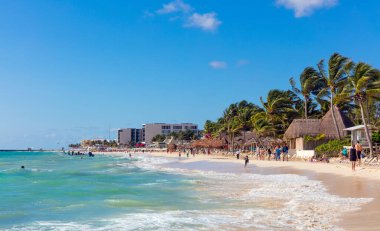 Güzel sahil ve tropikal deniz