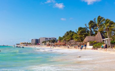 Güzel sahil ve tropikal deniz