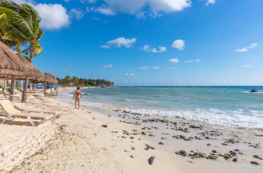 Palmiyeleri ve denizi olan güzel tropikal plajlar