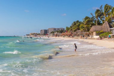 Palmiyeleri ve deniz manzaralı güzel bir sahil.