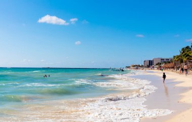 Palmiye ağaçları ve mavi gökyüzü olan güzel tropikal plaj