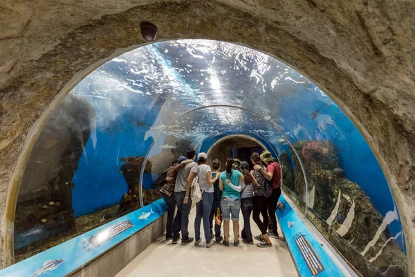 Guadalajara México Janeiro 2016 Zoológico Guadalajara Como Primeiro Verdadeiro Zoológico — Fotografia de Stock