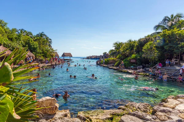 热带海滩 有棕榈树和海景 — 图库照片