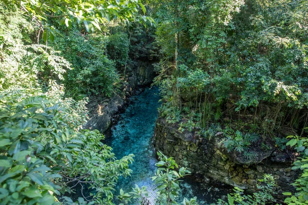 Şelaleli Güzel Tropikal Manzara — Stok fotoğraf