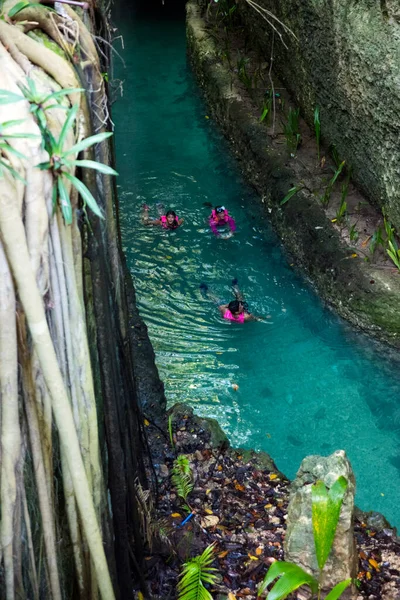 Xcaret Mexico Ocak 2015 Yucatan Yarımadası Nın Karayipler Kıyısındaki Bir — Stok fotoğraf