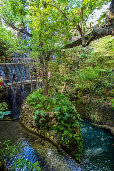 Xcaret Mexique Janvier 2015 Sentier Jungle Tropicale Xcaret Site Archéologique — Photo