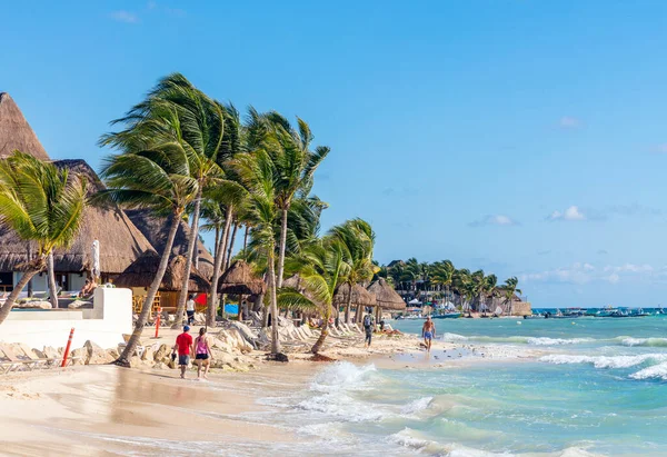 Playa Tropical Con Palmeras Palmeras Costa Arenosa Del Mar — Foto de Stock