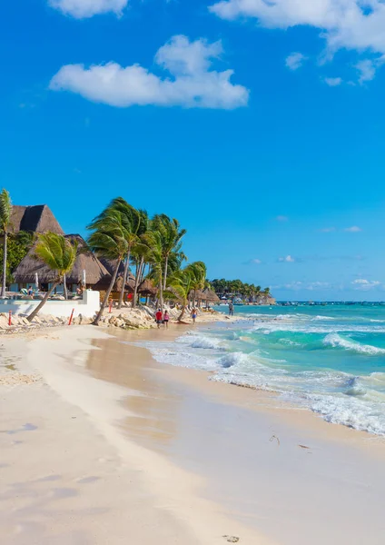 Playa Tropical Con Palmeras Palmeras — Foto de Stock