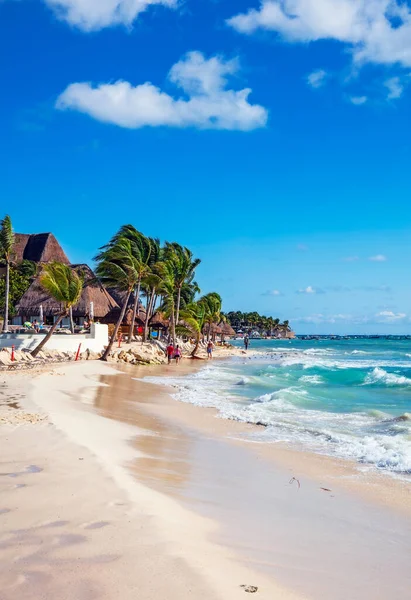 Playa Tropical Con Palmeras Palmeras — Foto de Stock