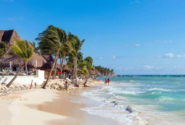 Playa Tropical Con Palmeras Palmeras Costa Arenosa Del Mar — Foto de Stock