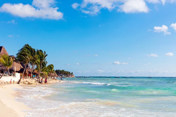 Hermosa Playa Tropical Mar Con Palmera Coco Isla Koh Samui — Foto de Stock