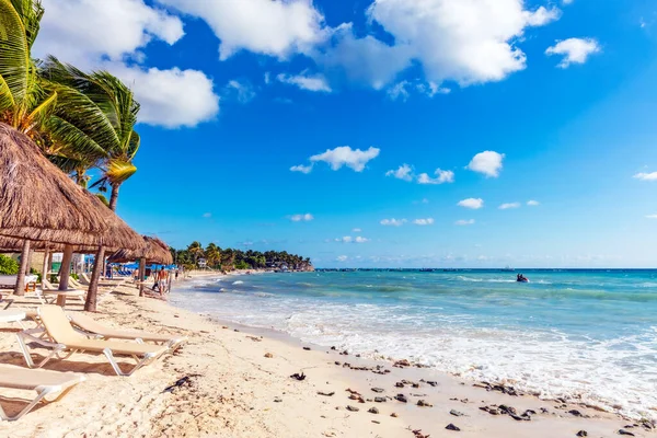 Hermosa Playa Tropical Mar Con Palmera Coco Cielo Azul — Foto de Stock