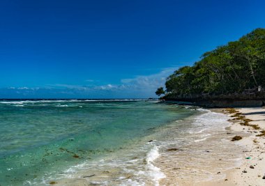Filipinler 'deki güzel tropikal plaj