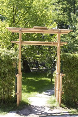 Bahçede bir patika, ormandaki parkta