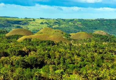 Yazın dağların ve nehrin havadan görünüşü.