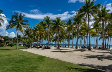 Bohol, Filipinler 'in beyaz kumlu tropikal plajı 