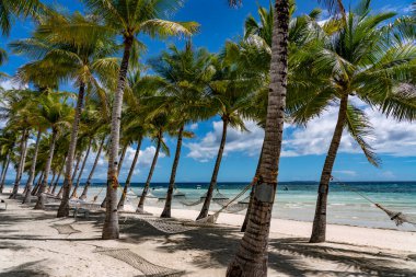 Bohol, Filipinler 'in beyaz kumlu tropikal plajı 