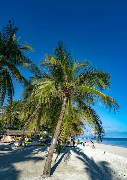 Bohol Filipinas Diciembre 2019 Playa Tropical Arena Blanca Bohol Philiipines — Foto de Stock