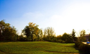 Yeşil Çimen ve Mavi Gökyüzü