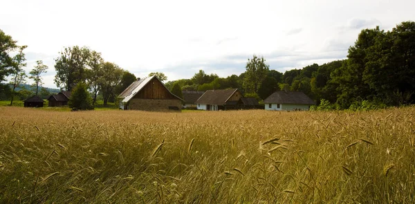 Paisaje Rural Con Paja Hierba Verde —  Fotos de Stock