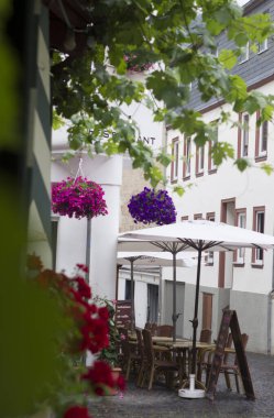 Bir kafede güzel çiçekler