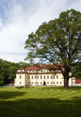 Parktaki şatonun manzarası