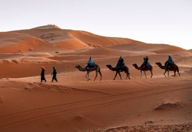 Merzouga, Fas - 29 Aralık 2017: Merzouga köyü yakınlarındaki Sahra çölünde develer.