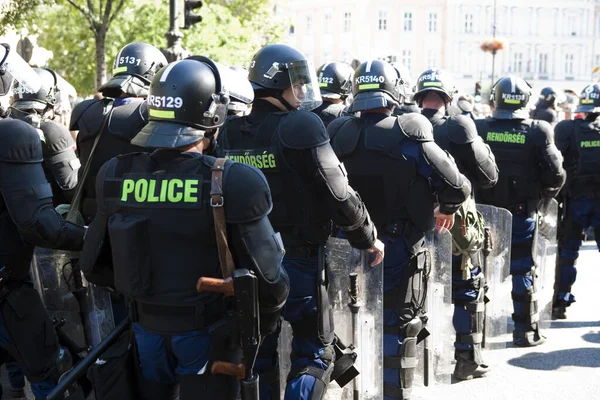 Petugas Polisi Dengan Senapan — Stok Foto