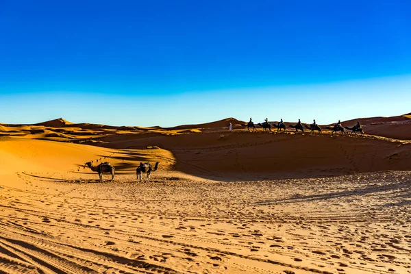 Pessoas Que Viajam Camelos Deserto Arenoso — Fotografia de Stock