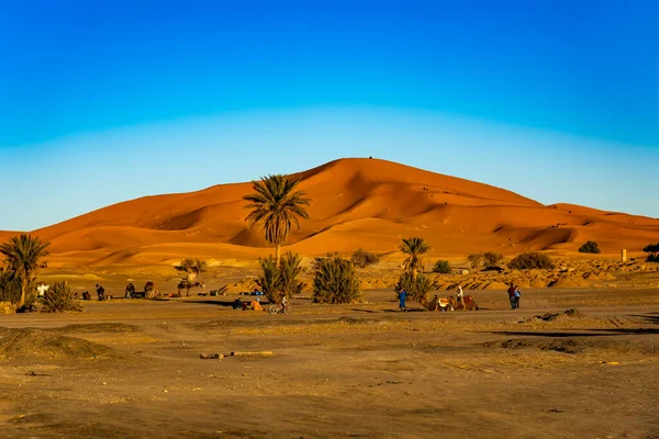 Vue Paysage Désertique Maroc — Photo