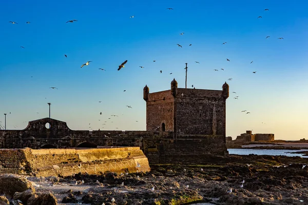 Fort Essaouria Bij Zonsondergang Marokko — Stockfoto