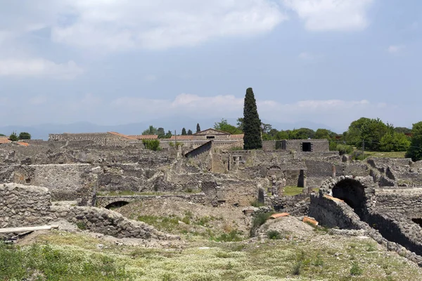 Ruines Ancienne Ville Ephèse Dinde — Photo