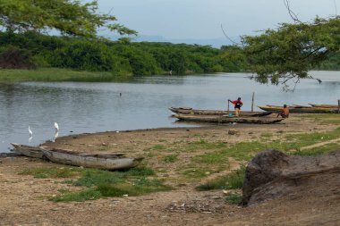 LOMA de ArENA, COLOMBIA - 29 Ekim 2015: Kolombiya yakınlarındaki Cienaga Del Totumo Gölü 'ndeki mangrovlarda yaşayan insanlar.