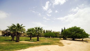 Yazın parkın manzarası