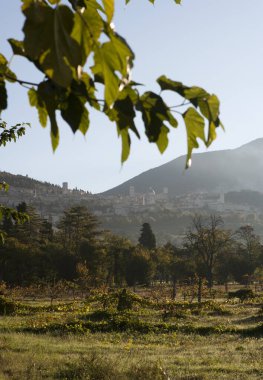 Dağların manzarası ve Madeira adasının dağı.