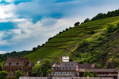 Lucerne 'in yeşil alanları, İsviçre