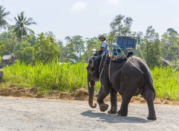 People Riding Elephant Thailand — Stock Photo, Image