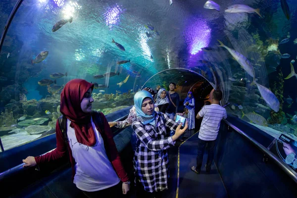 Kuala Lumpur Malaysia Janeiro 2017 Aquário Oceanário Localizado Abaixo Centro — Fotografia de Stock