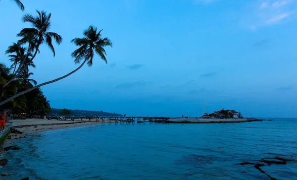 Palmiye Ağaçları Mavi Gökyüzü Olan Tropik Plaj — Stok fotoğraf