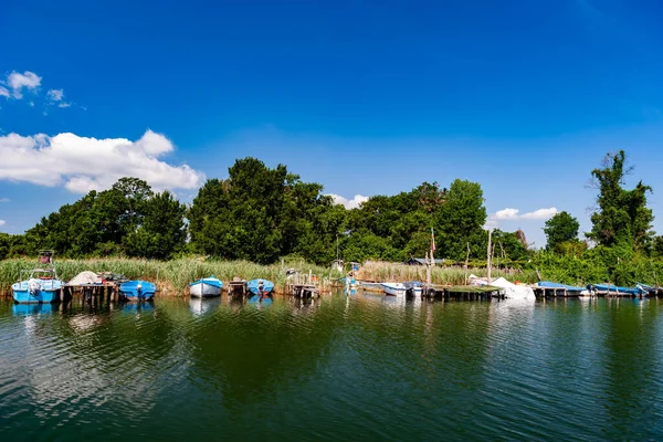 Ropotamo River Burgas Bulgaria — Stock Photo, Image